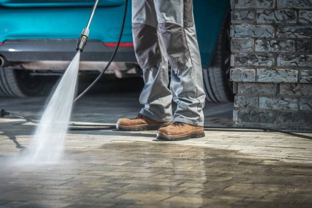 Pre-Holiday Cleaning in Glenolden, PA