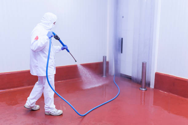 Best Rust Removal  in Glenolden, PA