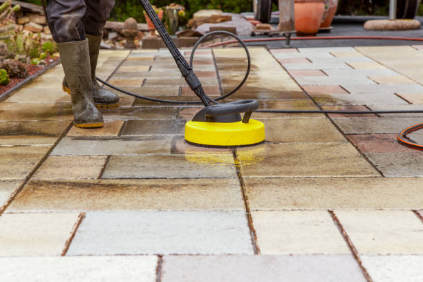 Best Driveway Pressure Washing  in Glenolden, PA