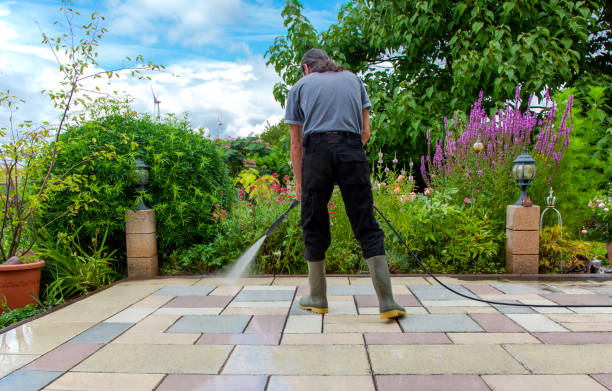 Animal Enclosure Cleaning in Glenolden, PA